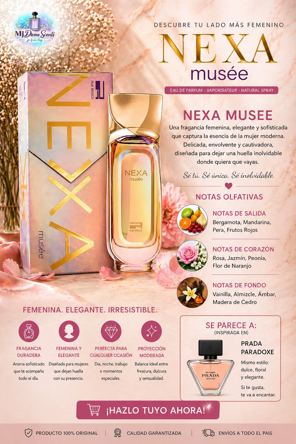 Nexa Rue Broca